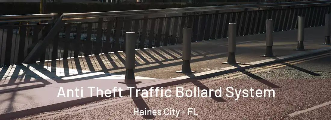  Anti Theft Traffic Bollard System Haines City - FL