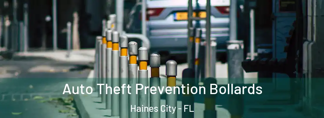 Auto Theft Prevention Bollards Haines City - FL