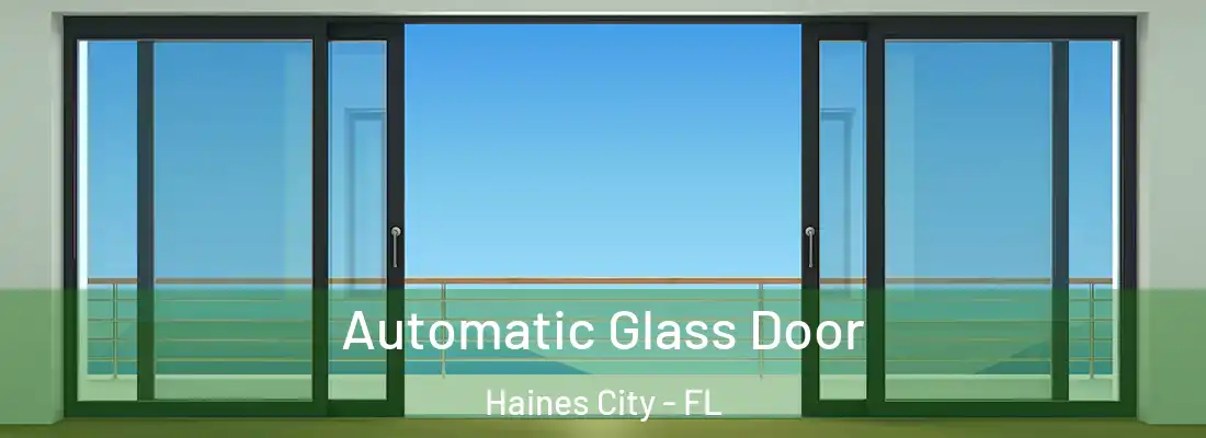  Automatic Glass Door Haines City - FL