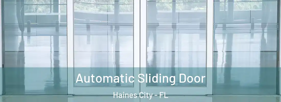  Automatic Sliding Door Haines City - FL