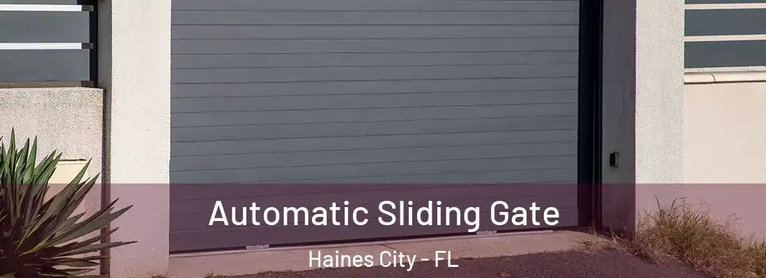  Automatic Sliding Gate Haines City - FL