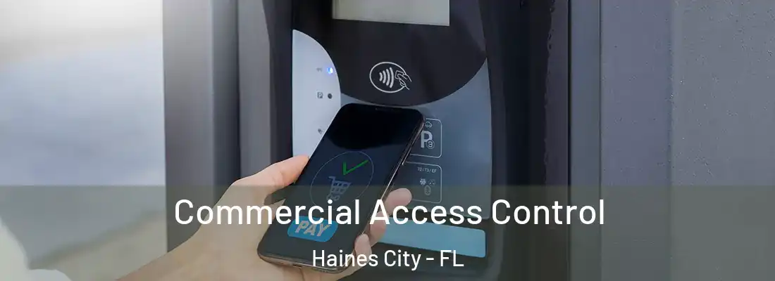  Commercial Access Control Haines City - FL