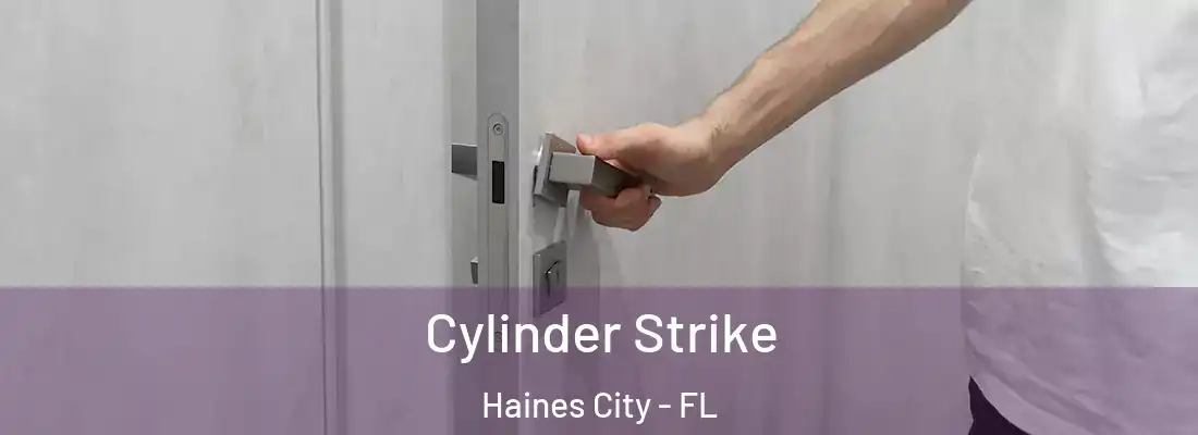 Cylinder Strike Haines City - FL