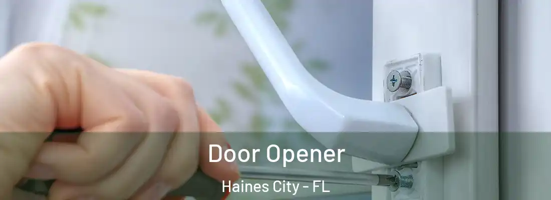  Door Opener Haines City - FL