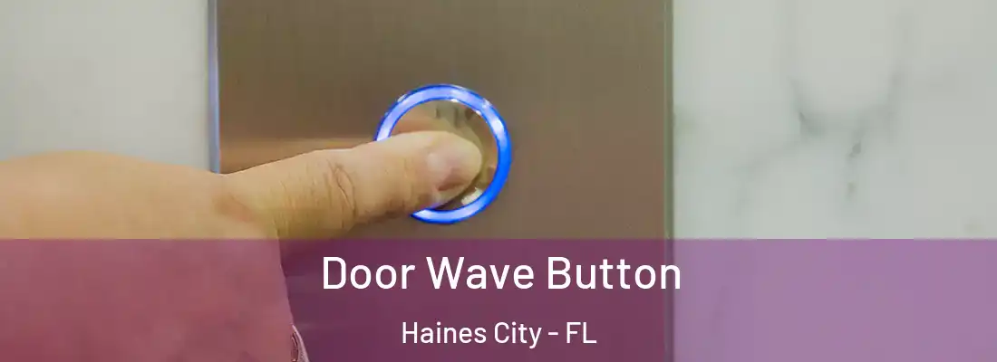  Door Wave Button Haines City - FL