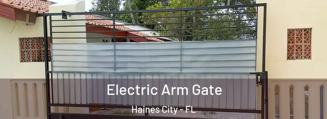 Electric Arm Gate Haines City - FL