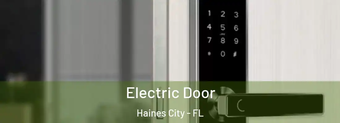  Electric Door Haines City - FL