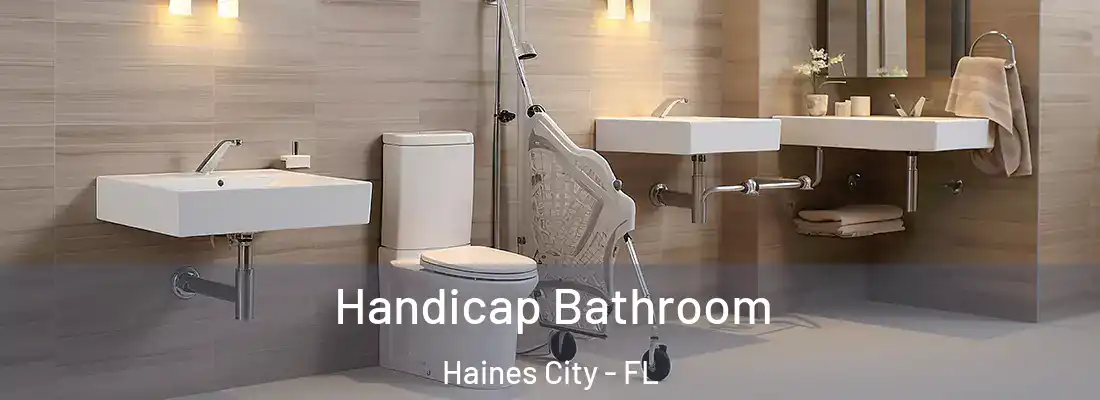  Handicap Bathroom Haines City - FL