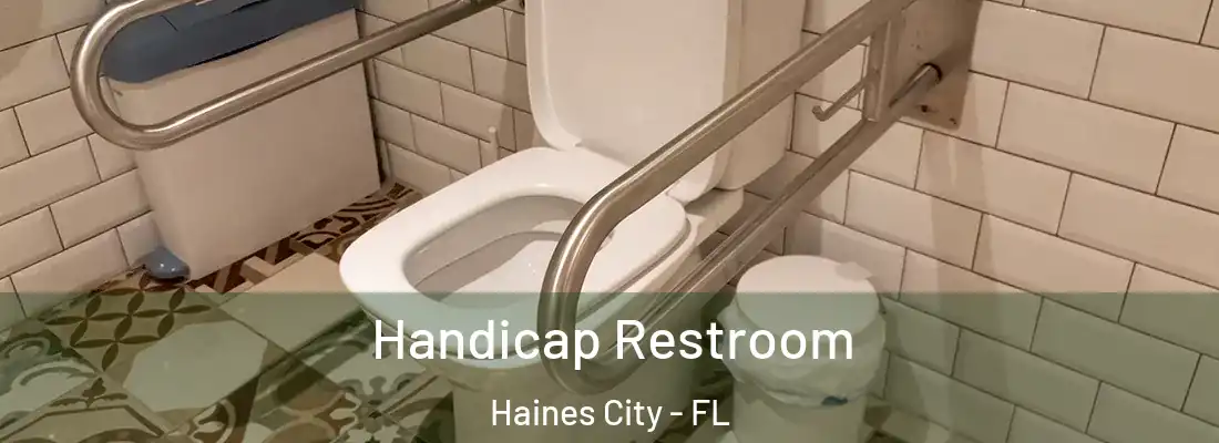 Handicap Restroom Haines City - FL