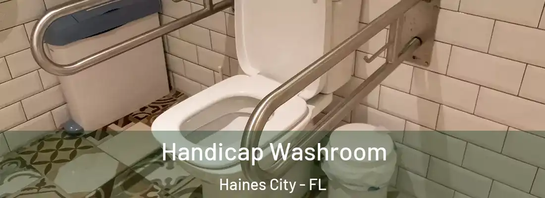  Handicap Washroom Haines City - FL