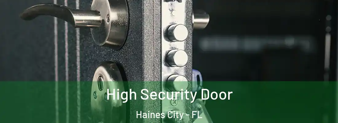 High Security Door Haines City - FL