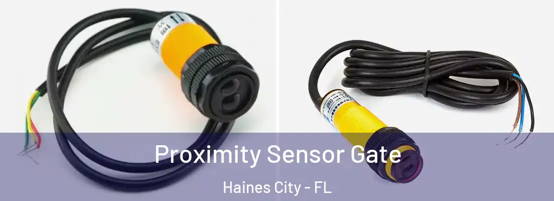  Proximity Sensor Gate Haines City - FL