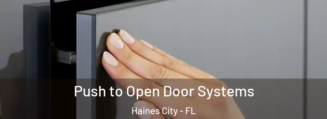  Push to Open Door Systems Haines City - FL