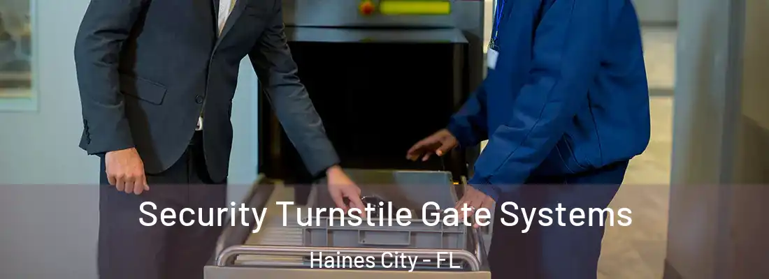  Security Turnstile Gate Systems Haines City - FL